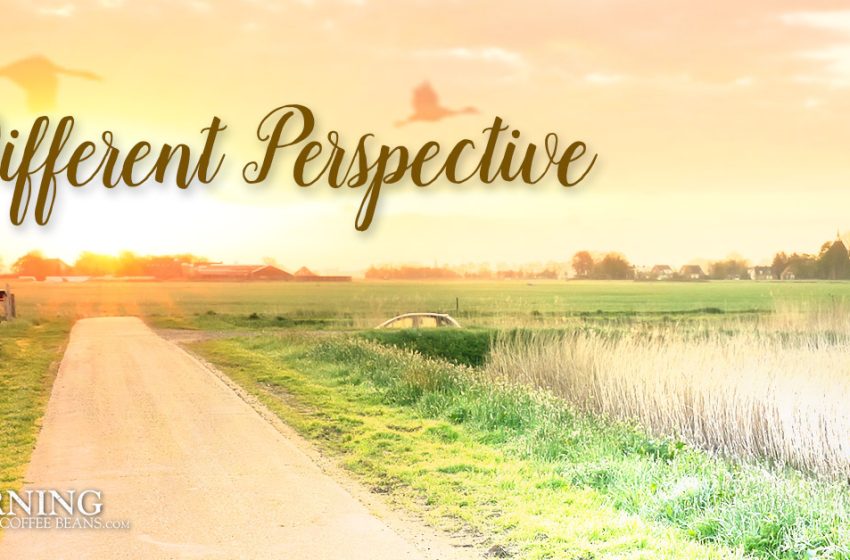  A Different Perspective – Short Stories