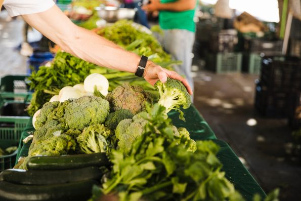  The Startup Magazine Supply Chains: what you should know about local food systems