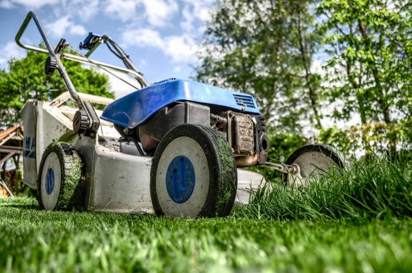  The Startup Magazine A Guide to Starting Up Your Own Lawn Care Service